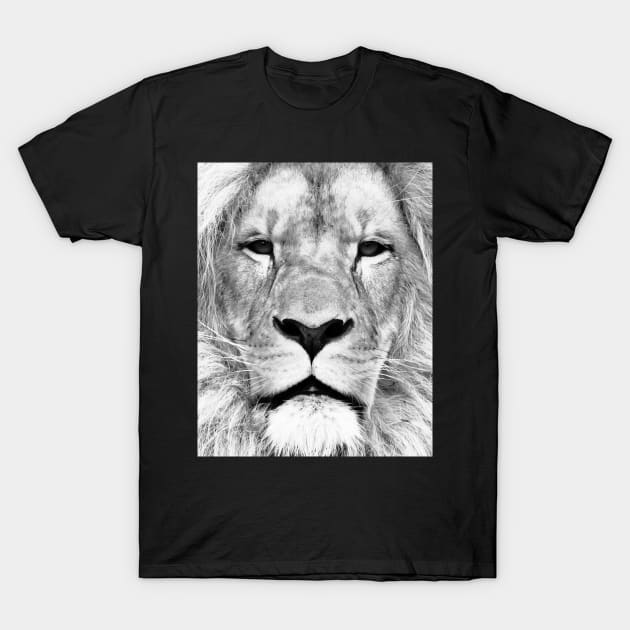 Lion portrait print T-Shirt by juliaemelian